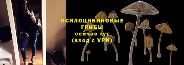 стаф Алексин