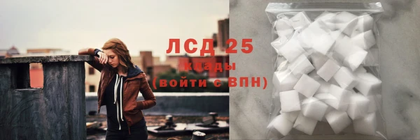 стаф Алексин