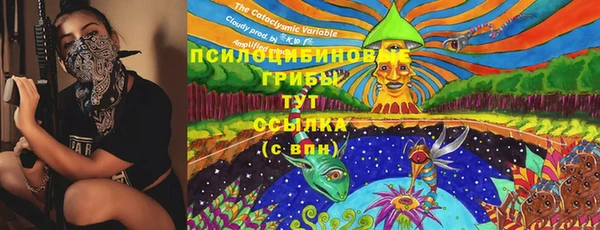 стаф Алексин