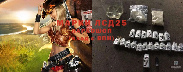 стаф Алексин