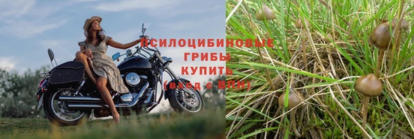mdpv Остров