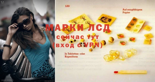 стаф Алексин