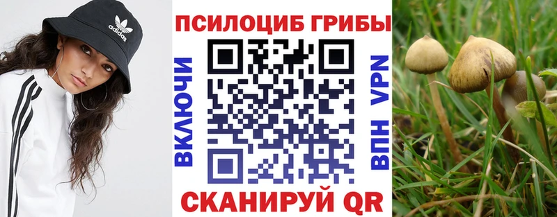 Галлюциногенные грибы GOLDEN TEACHER купить Ревда